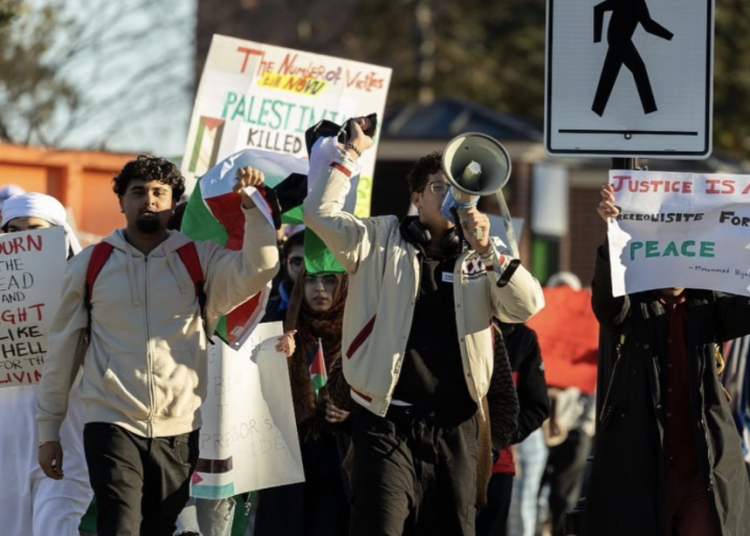 Get to know six Palestine solidarity groups in Fredericton