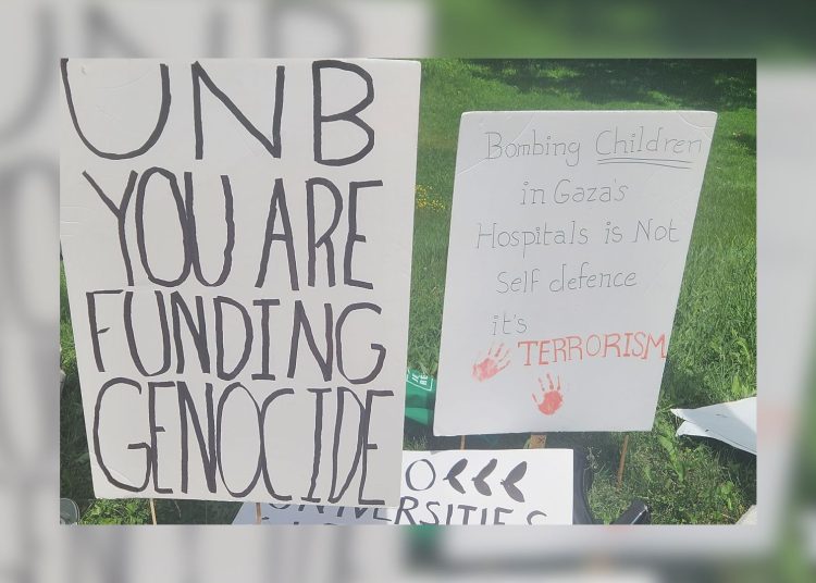 The image shows two protest signs. The sign on the left reads "UNB YOU ARE FUNDING GENOCIDE" in large, bold letters. The sign on the right reads "Bombing Children in Gaza's Hospitals is Not Self defence it's TERRORISM" with "TERRORISM" highlighted in red and two red handprints below the text. The signs are placed on grass.