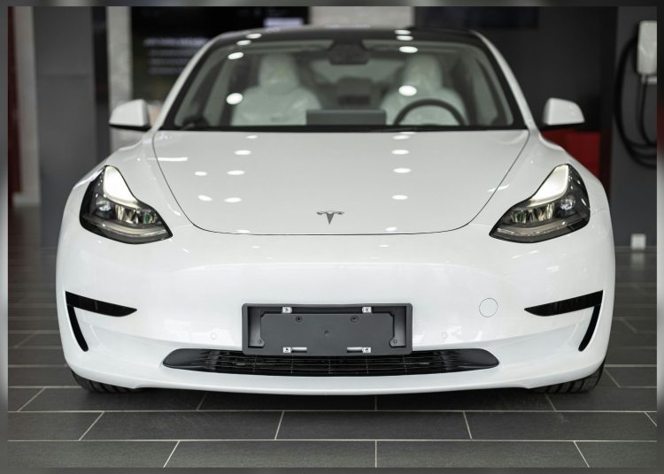 Teslas for politicians, diesel buses for New Brunswick kids