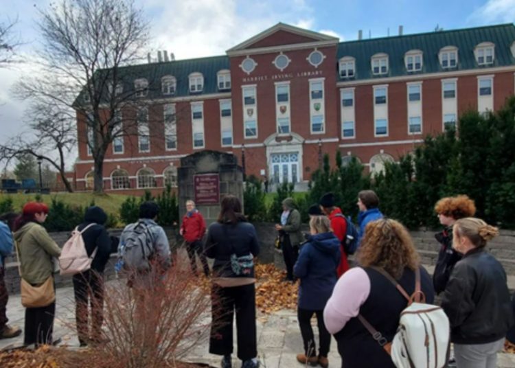 ‘The system requires students adopt a fatalistic perspective,’ says student demanding free education