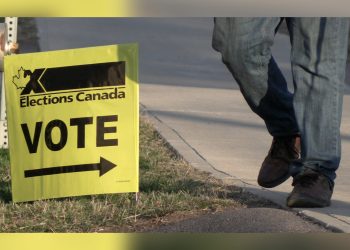 Vox pop: New Brunswick voters speak about the 2025 federal election