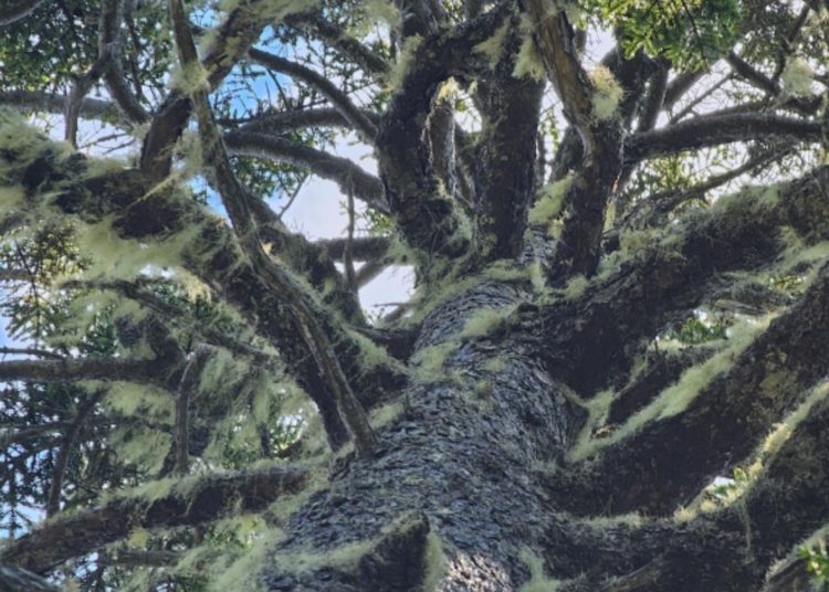 Residents call public hearing a ‘sham’ after councillors approve industrial park expansion [video]