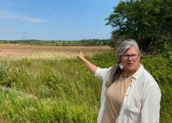 ‘Sears Sanctuary’ threatened by NB Power’s proposed 500 MW gas plant