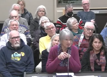 Tantramar Council comes out against gas plant on the Isthmus