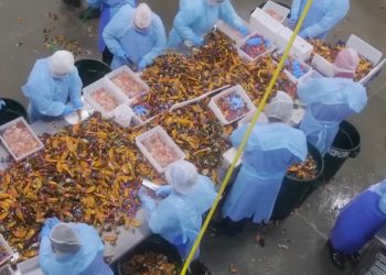 Migrant workers’ labour conditions not on the table at Canada–U.S. lobster industry conference [video]