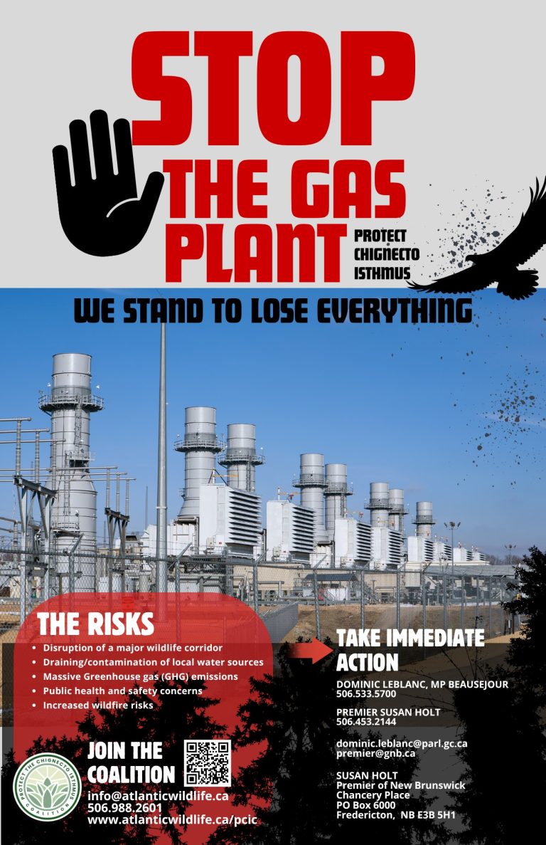 Over 120 scientists and academics say ‘no’ to Tantramar shale gas plant ...
