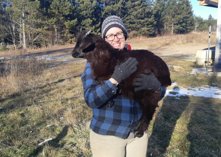 Rural resilience depends on the provincial veterinary system