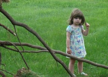 Before Bill 23: the little-known story behind New Brunswick’s push for a right to a healthy environment