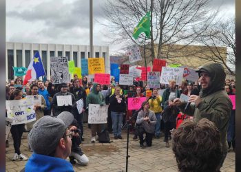 New Brunswick will ‘improve’ collection of unpaid student debt to increase revenue: finance minister