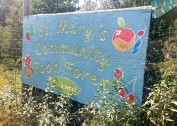 Can community food forests address food insecurity in New Brunswick?