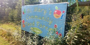 Can community food forests address food insecurity in New Brunswick?