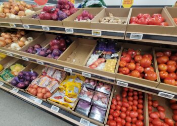 New study finds nearly 68 per cent of Fredericton residents lack physical access to a grocery store