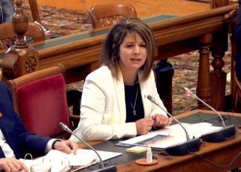 NB Power still lacks Indigenous partner for $3.5-billion gas plant, CEO says