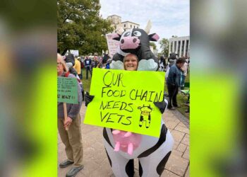 Hundreds rally to defend public veterinary, laboratory services in New Brunswick