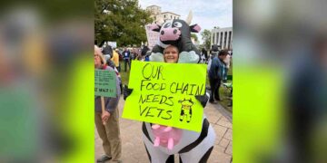 Hundreds rally to defend public veterinary, laboratory services in New Brunswick
