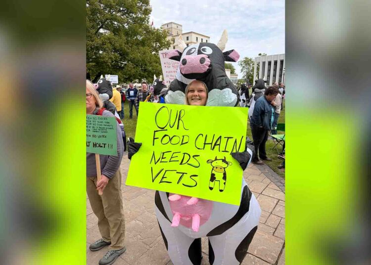 Hundreds rally to defend public veterinary, laboratory services in New Brunswick