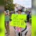 Hundreds rally to defend public veterinary, laboratory services in New Brunswick