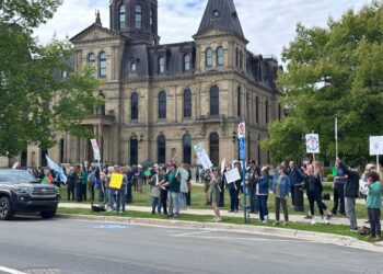 A large crowd of people holding protest signs stands on a lawn in front of a large stone government building on a cloudy day.