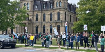 A large crowd of people holding protest signs stands on a lawn in front of a large stone government building on a cloudy day.