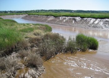 Open letter: Acadian identity should not be diluted