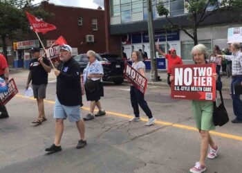 Privatization in Alberta threatens public health care across Canada, activists tell federal government
