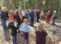 Food forests take root across New Brunswick