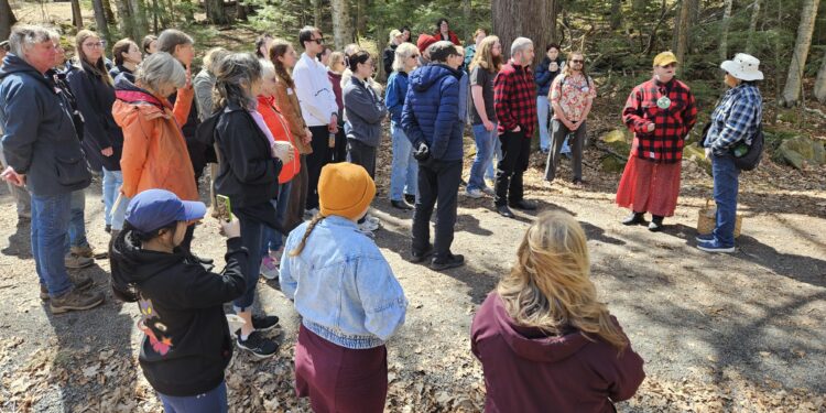 Food forests take root across New Brunswick